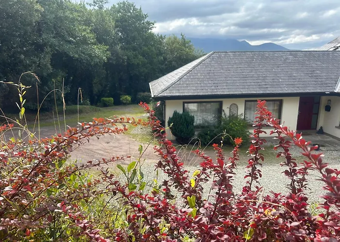 度假居 Modern 4 Bedroom House Ring Of Kerry -killarney